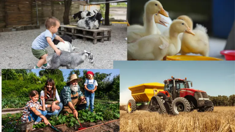 The future is many small farms, none alike. All set to be the most effective stewardship of the place it rests.