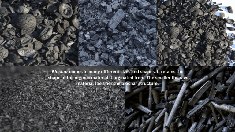 Biochar comes in many different sizes and shapes. It retains the shape of the organic material it orginated from. The smaller the raw material the finer the biochar structure. Different biochars work better for certain uses, and this must be part of the marketing message.