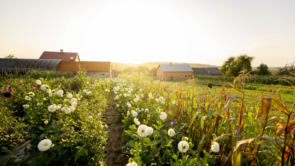 Regen isn't a product, it's a process. The definition isn't as important as the intent to continue improving the farm ecosystem.