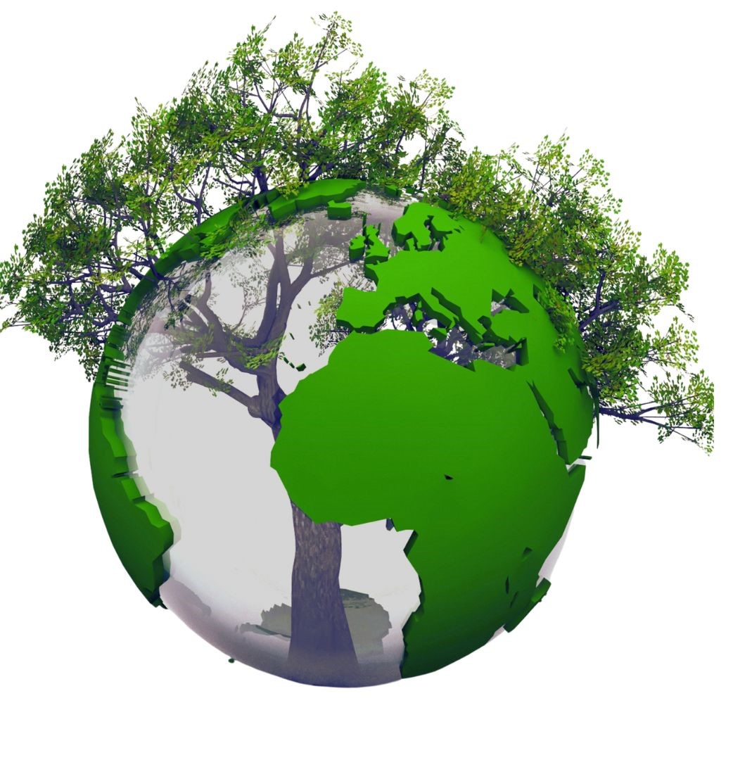 The tree of life binds us together across the earth