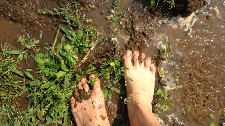 Feet in the mud or grounded on earth. The interpretation depends on your worldview.
