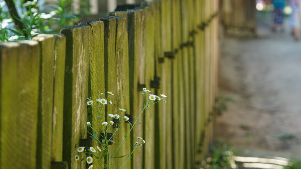 We can build walls or create barriers, but nature always wins because reciprocal relationships are embedded in the system
