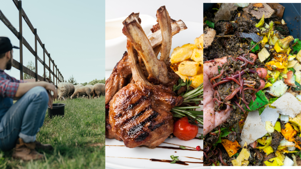 Ecosystem services from farmers, healthy food, and decomposing organisms exist across the spectrum, but reciprocity and true regeneration require relationship