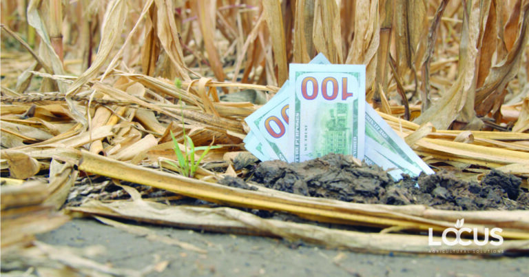 Is money coming out of the ground for commodity growers? We aren't feeding the world; we're providing fuel for cars and CAFOs.
