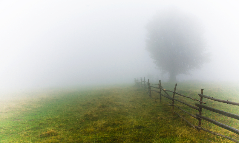Fog is a physical part of nature, but also a mental state of mind.
