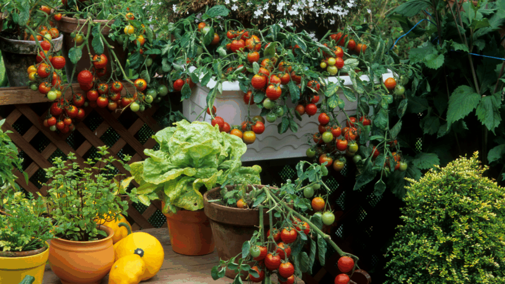 Summer vegetables are so tasty, and even better when the soil is healthy. Show, don't lecture.
