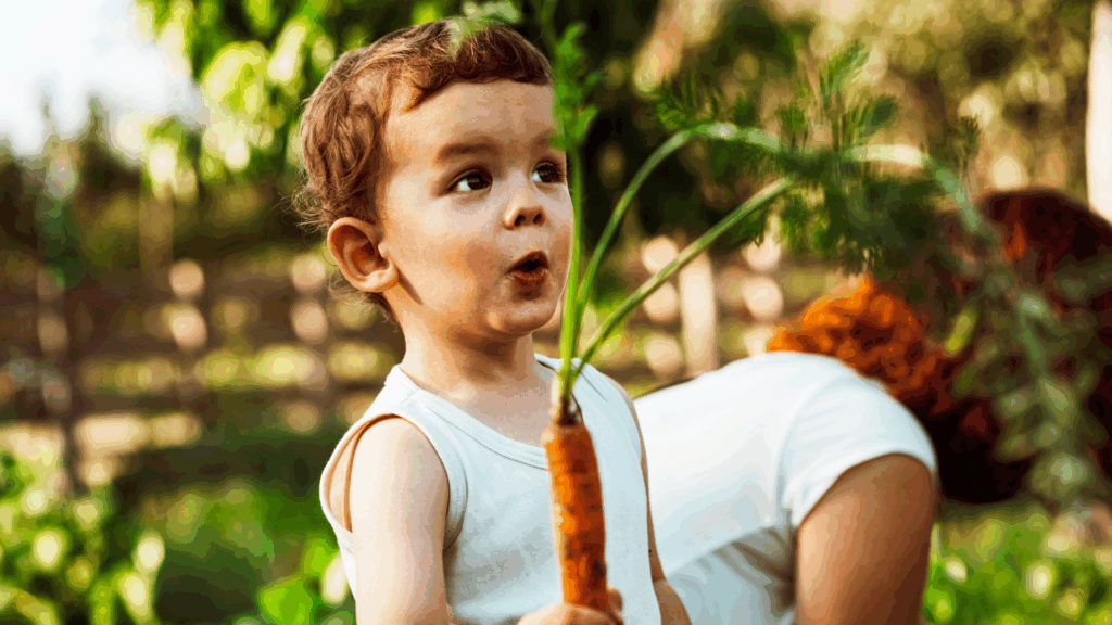Kid harvesting his very own carrot and proud of himself. An image for the family scrapbook.