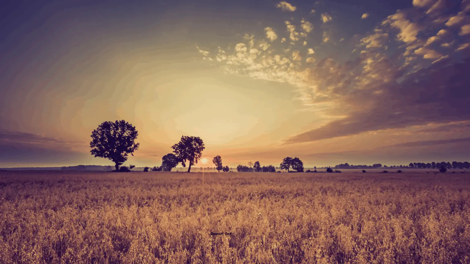 3 Pillars Marketing is helping regen ag and biochar businesses that are making a difference in the world make more money.