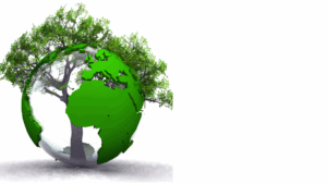 Change is the only constant in a regenerative world for the earth and all its inhabitants.