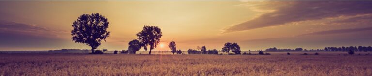 It's almost sundown, but there's still time to make adjustments and save the earth