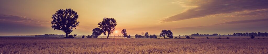 It's almost sundown, but there's still time to save the earth and be profitable.