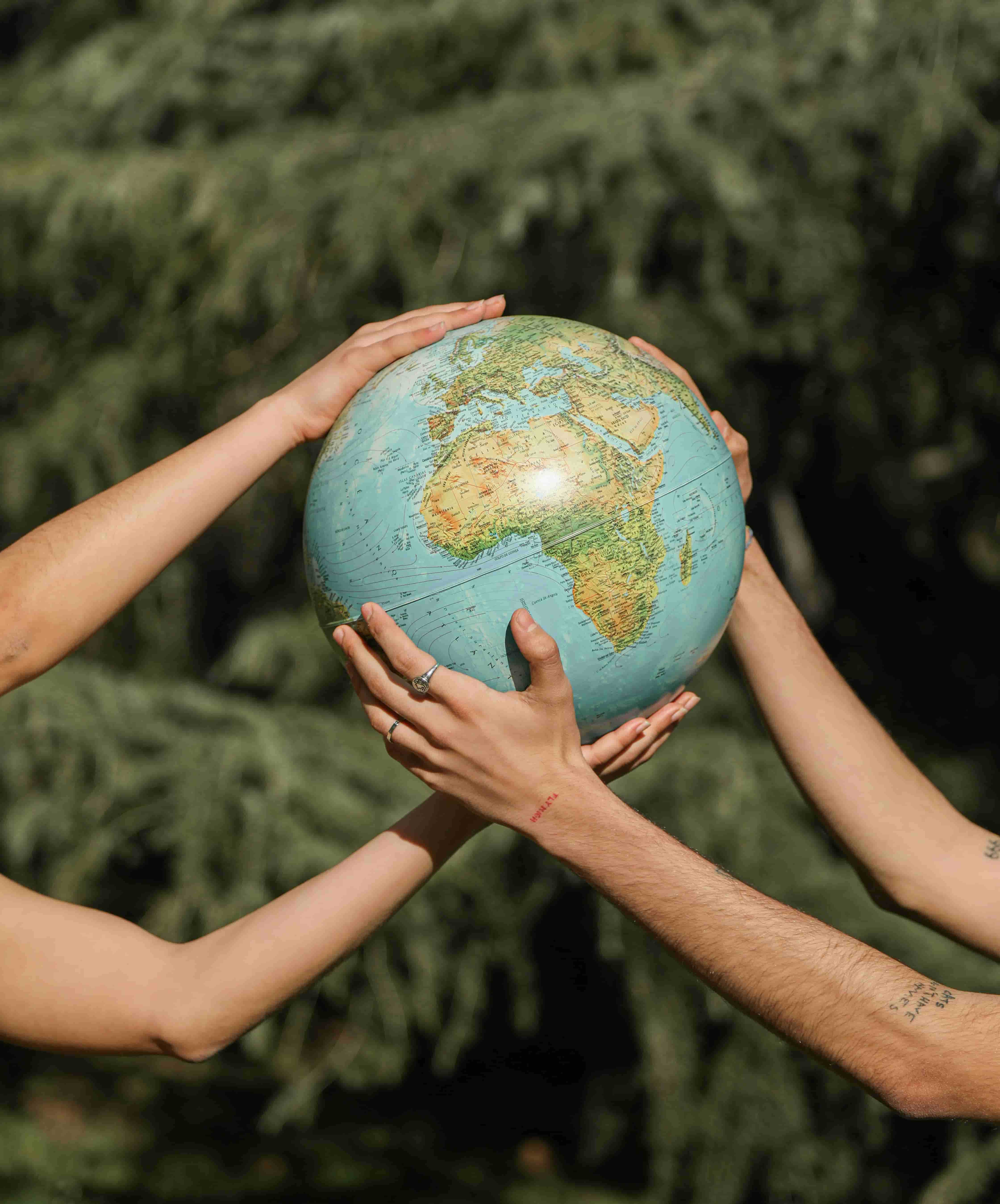 Two arms reaching out holding a globe together with an evergreen in the background.