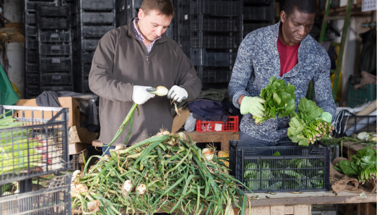 Diversification means paying attention to the small details on a regenerative ag operation. Your customer support and service are paramount.