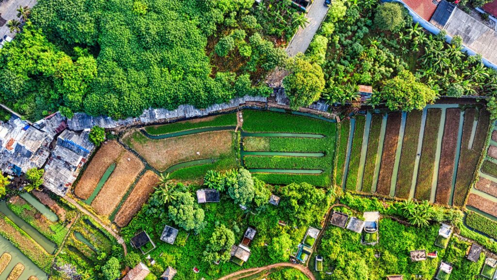 Beginning farmers are finding it harder to buy land - too expensive.